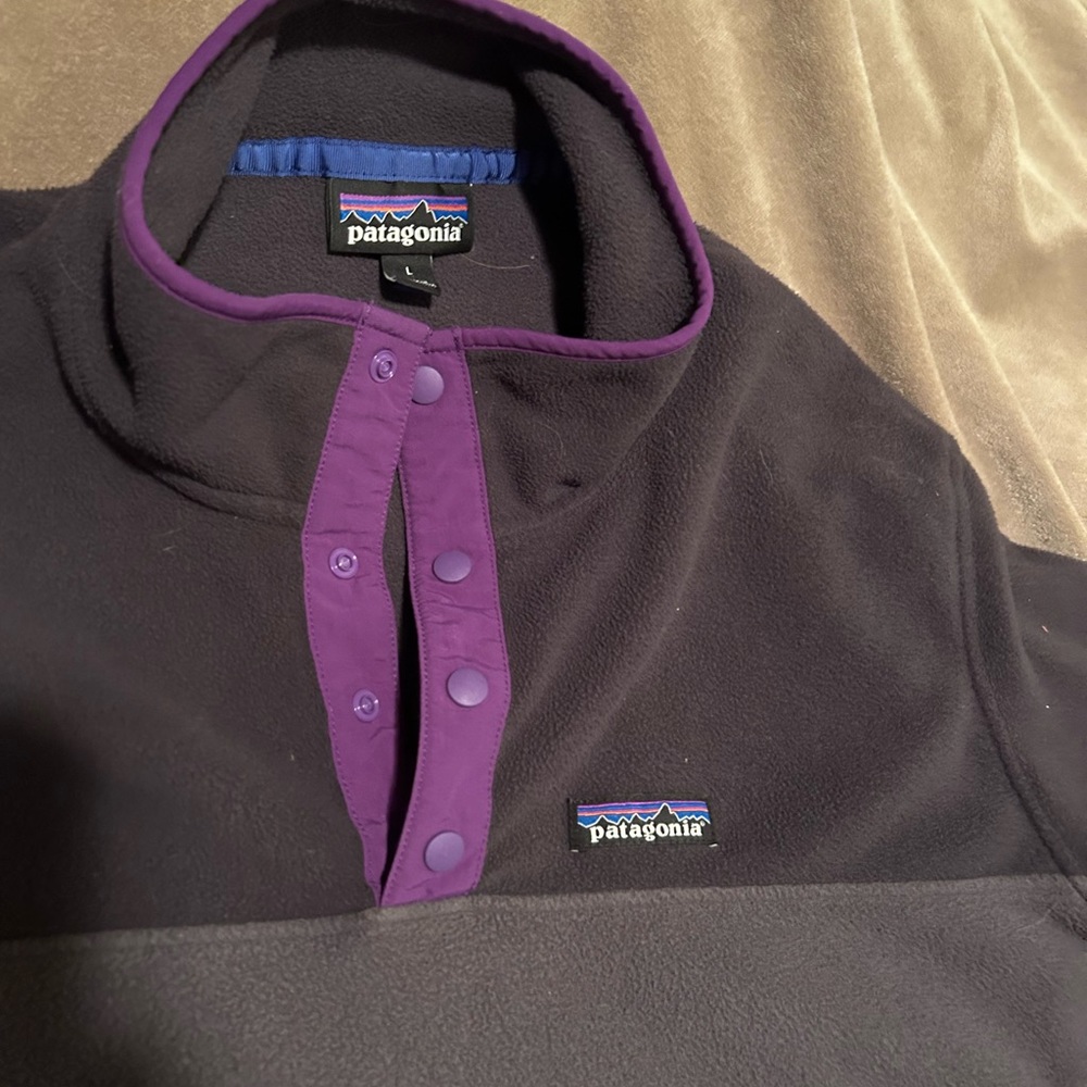 Patagonia Synchilla Fleece Pullover